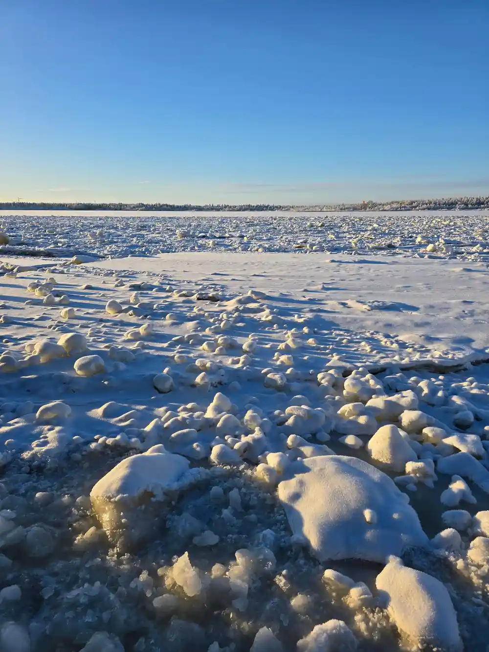 Pancake ice under a blue sky, plates crowded together to the horizon